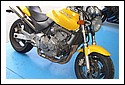 Honda_Hornet_600.jpg