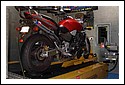 Honda_Hornet_red1.jpg